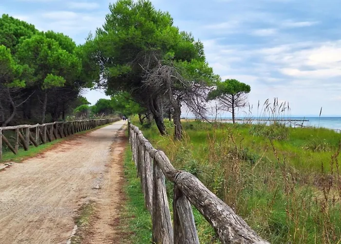 Comfy Seafront Apartment-beahost * Bibione